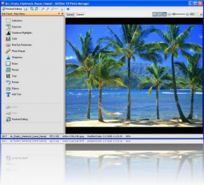 Obrázek ACDSee Photo Manager download
